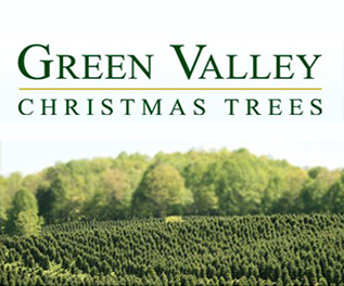 Holiday Tree - Green Valley Trees